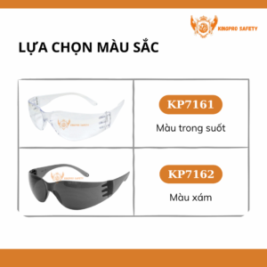 Lựa chọn màu sắc