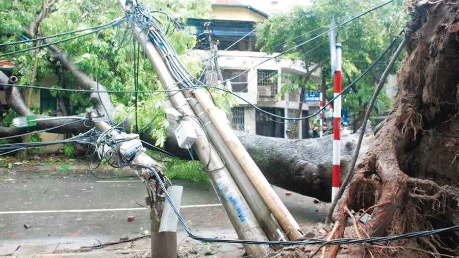 Cảnh Báo Nguy Cơ Điện Giật Khi Làm Việc Ngoài Trời Mùa Mưa