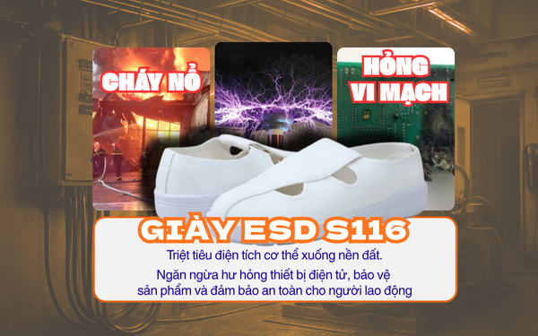 s116 esd