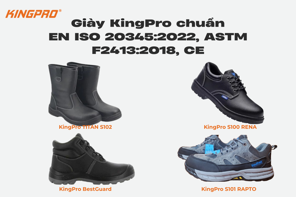 form giày bảo hộ 